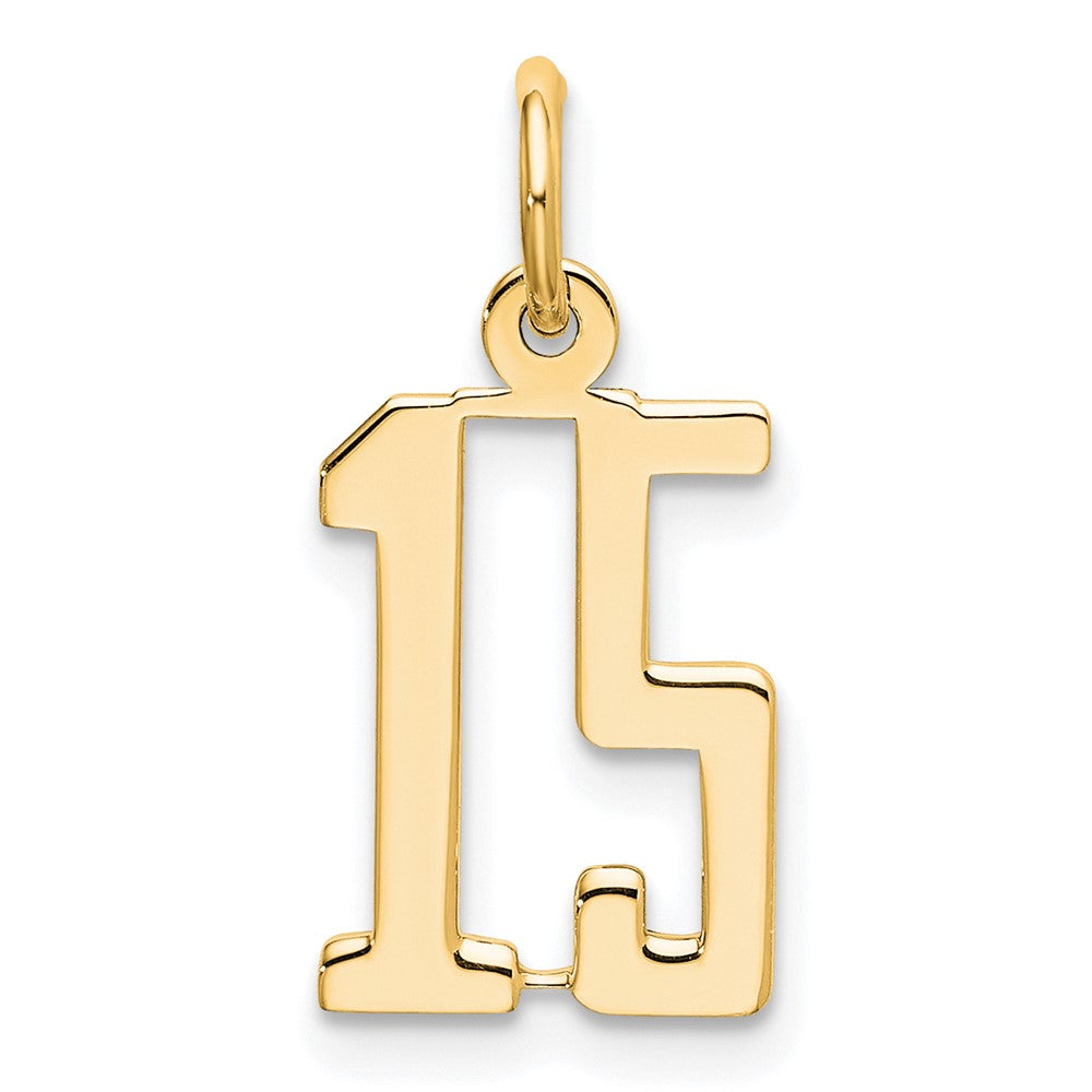 14K White Gold Small Elongated Number 15 Charm