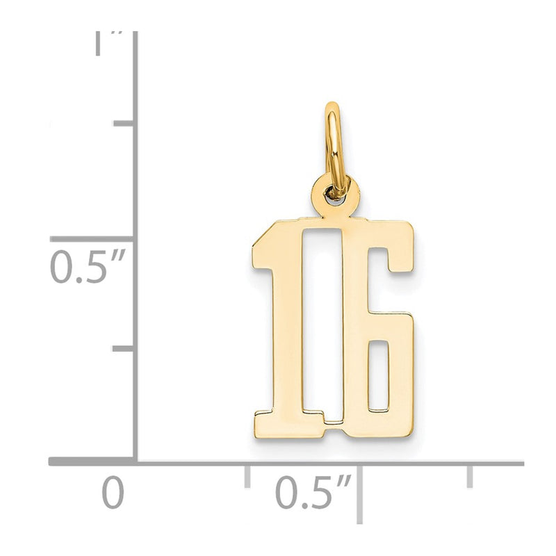 14K Yellow Gold Small Elongated Number 16 Charm