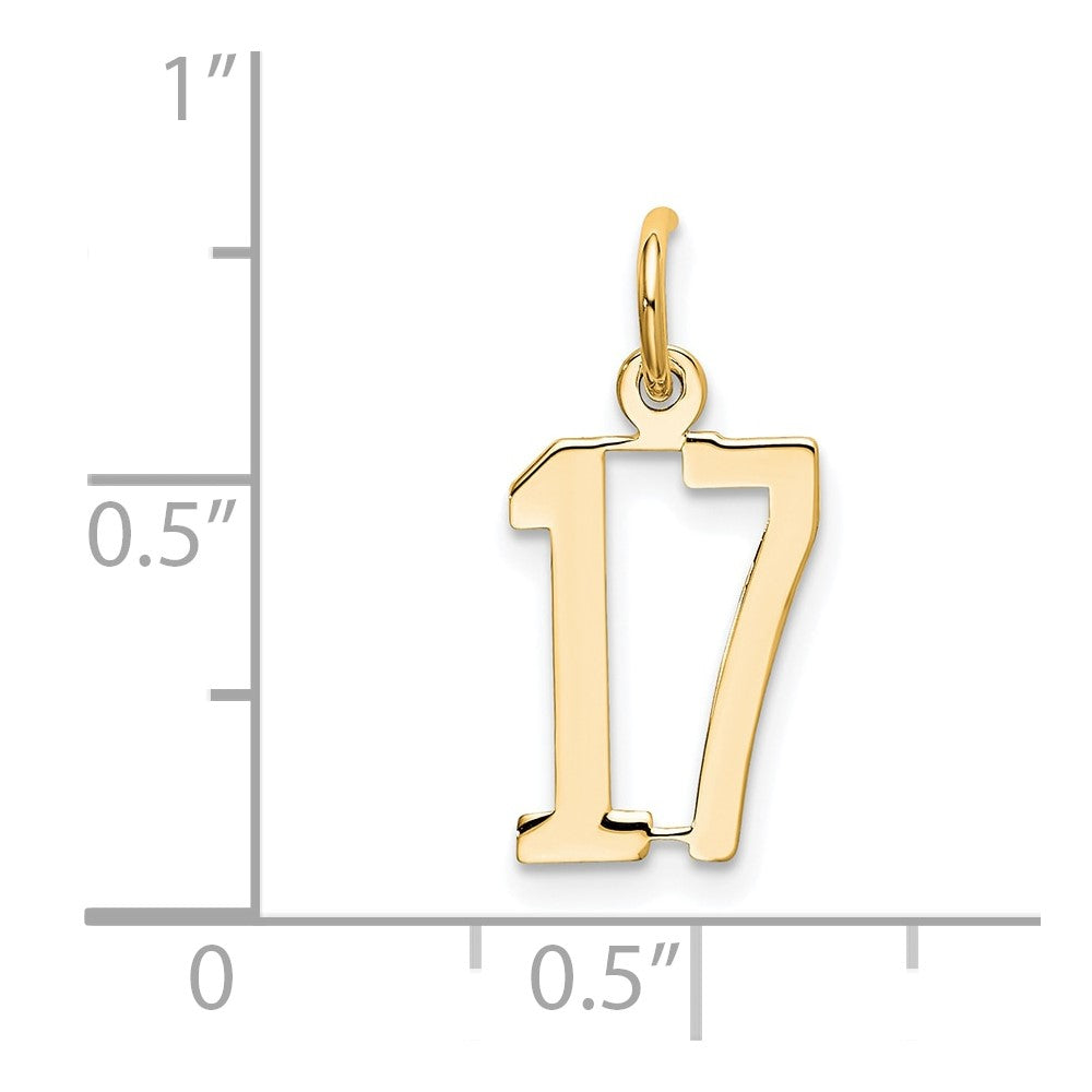 14K White Gold Small Elongated Number 17 Charm