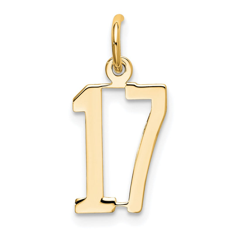 14K White Gold Small Elongated Number 17 Charm