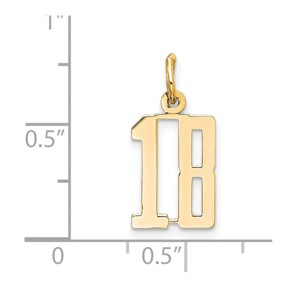 14K Yellow Gold Small Elongated Number 18 Charm
