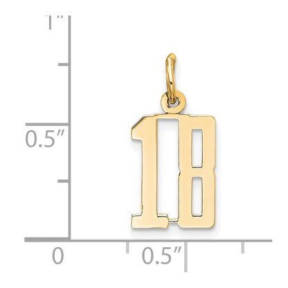 14K Yellow Gold Small Elongated Number 18 Charm