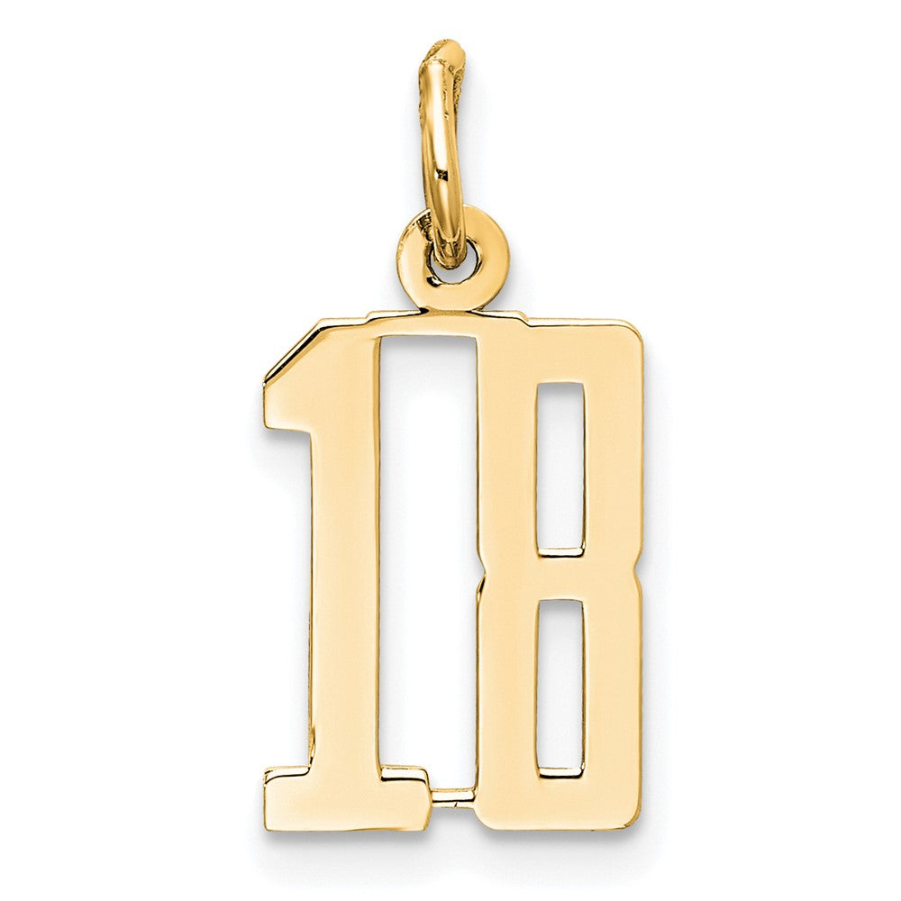 14K Yellow Gold Small Elongated Number 18 Charm