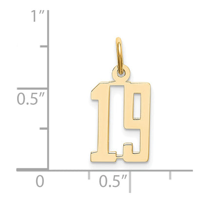 14K Yellow Gold Small Elongated Number 19 Charm