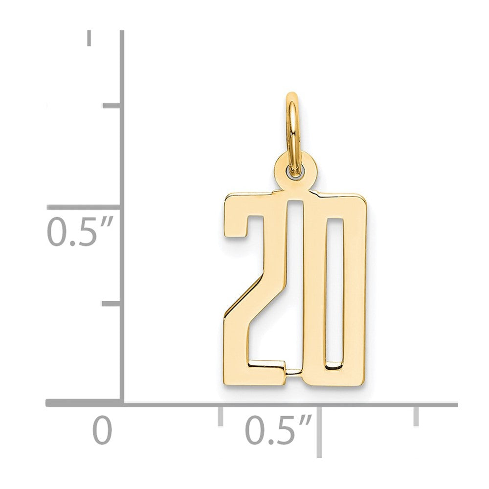 14K Yellow Gold Small Elongated Number 20 Charm
