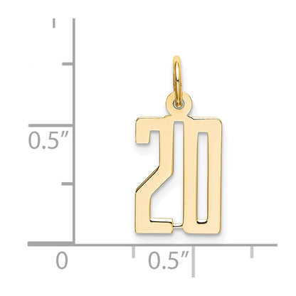 14K Yellow Gold Small Elongated Number 20 Charm