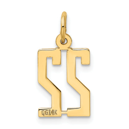 14K Yellow Gold Small Elongated Number 22 Charm