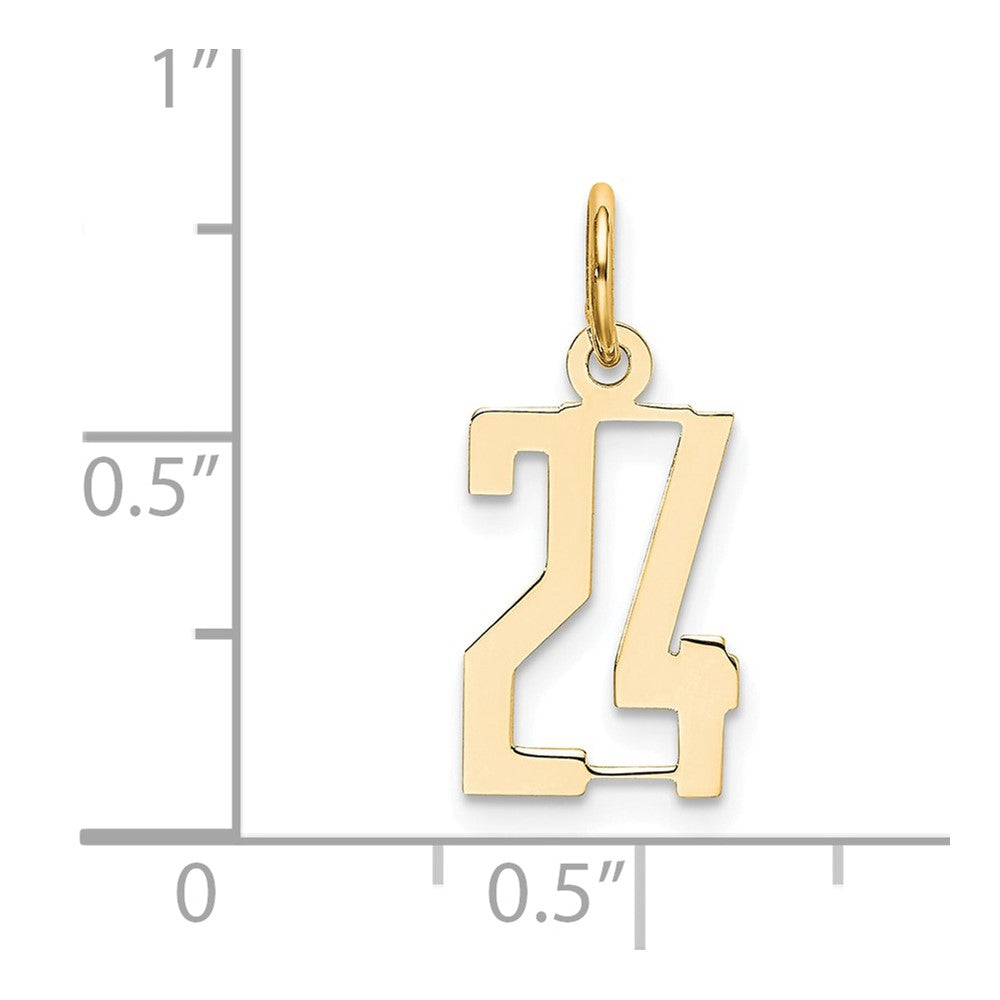 14K Yellow Gold Small Elongated Number 24 Charm