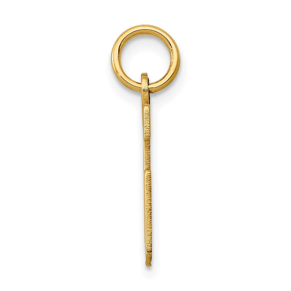 14K Yellow Gold Small Elongated Number 26 Charm