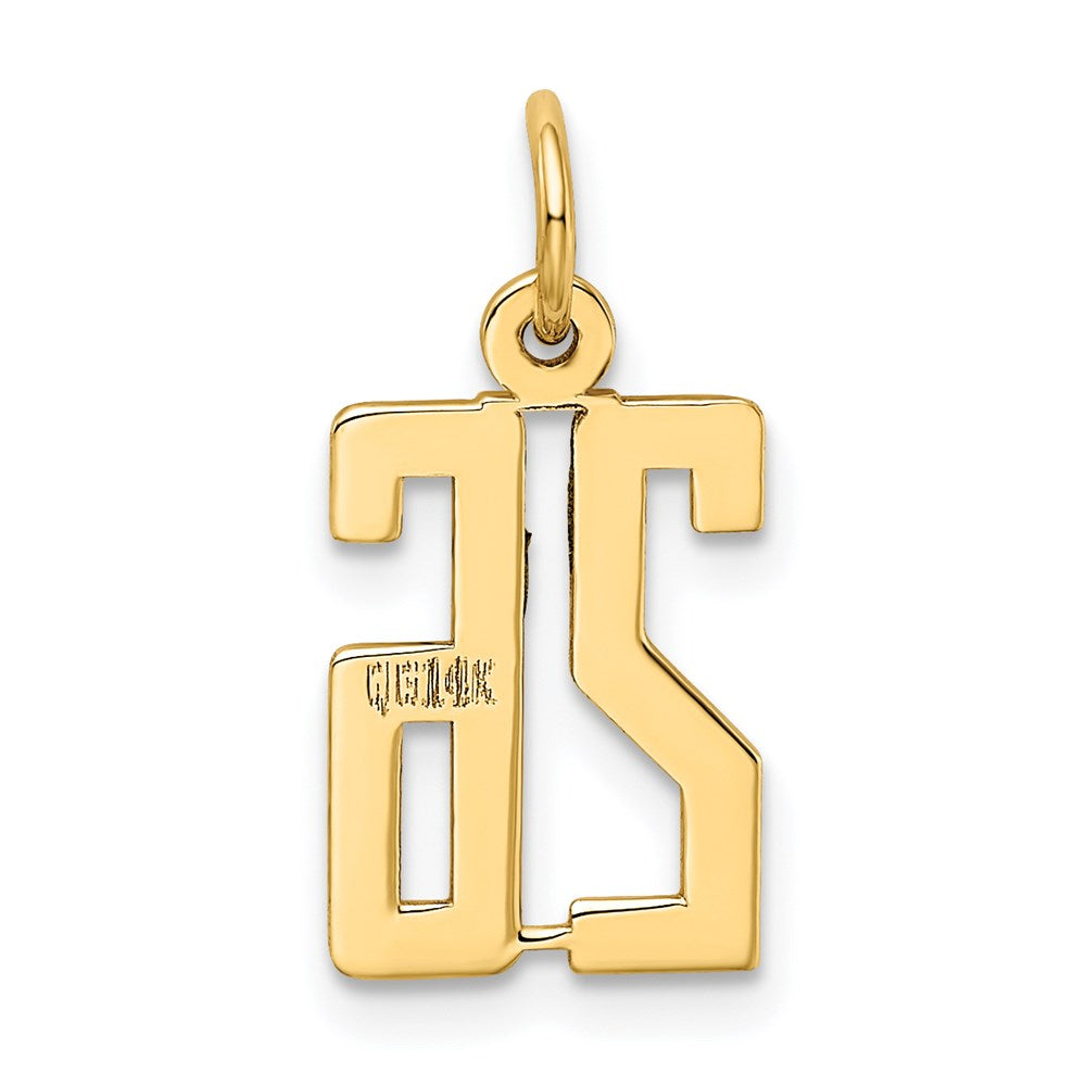 14K Yellow Gold Small Elongated Number 26 Charm