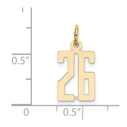 14K Yellow Gold Small Elongated Number 26 Charm