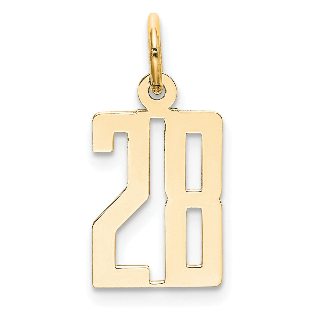 14K Yellow Gold Small Elongated Number 28 Charm