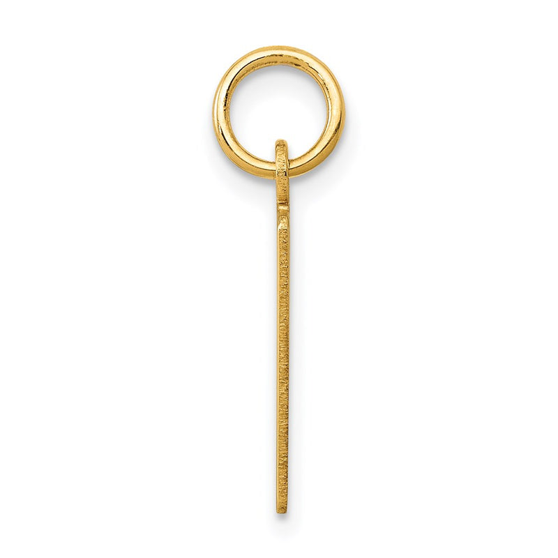 14K Yellow Gold Small Elongated Number 29 Charm