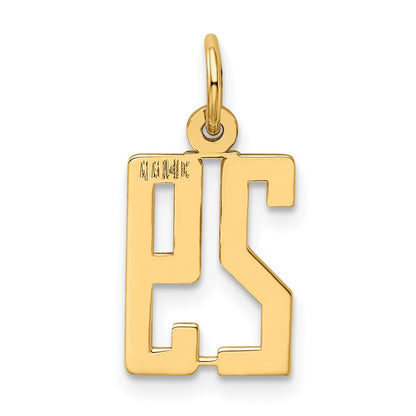 14K Yellow Gold Small Elongated Number 29 Charm