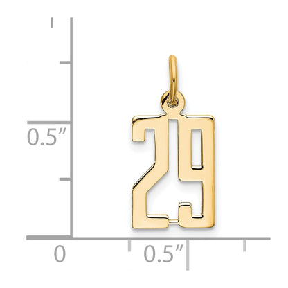 14K Yellow Gold Small Elongated Number 29 Charm