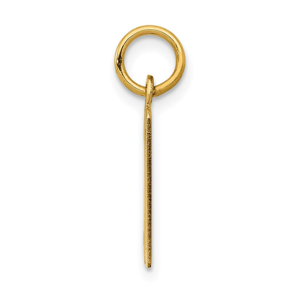 14K Yellow Gold Small Elongated Number 30 Charm