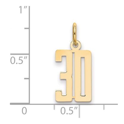 14K Yellow Gold Small Elongated Number 30 Charm