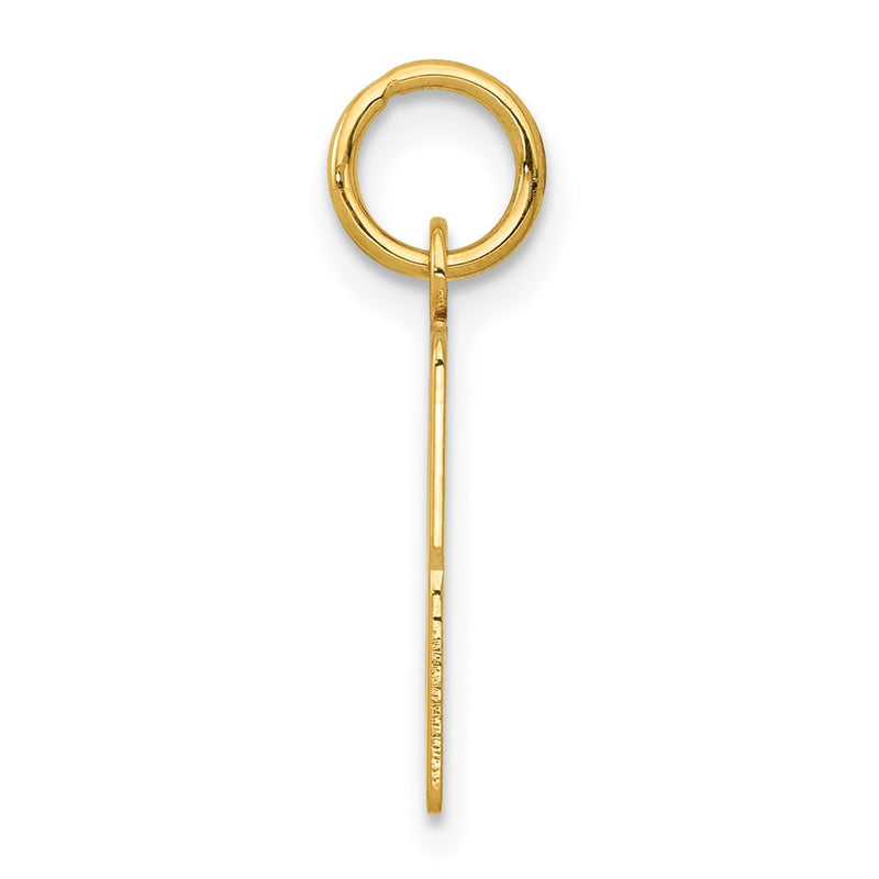 14K Yellow Gold Small Elongated Number 33 Charm