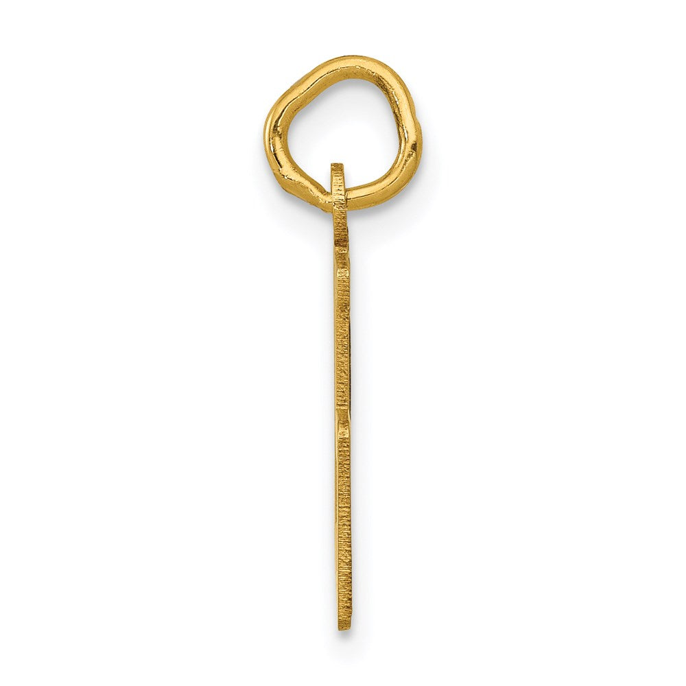 14K Yellow Gold Small Elongated Number 35 Charm