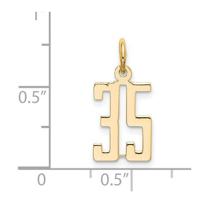 14K Yellow Gold Small Elongated Number 35 Charm