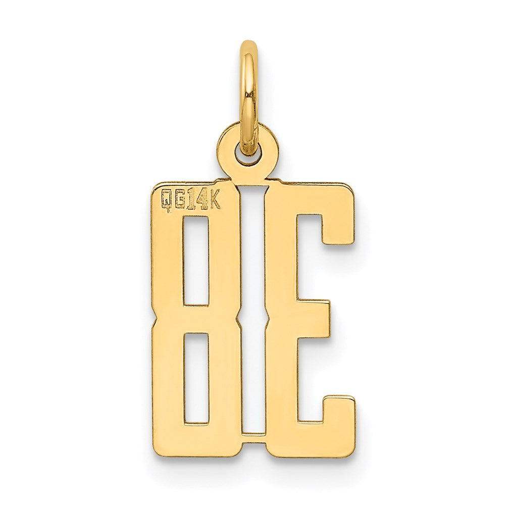 14K Yellow Gold Small Elongated Number 38 Charm