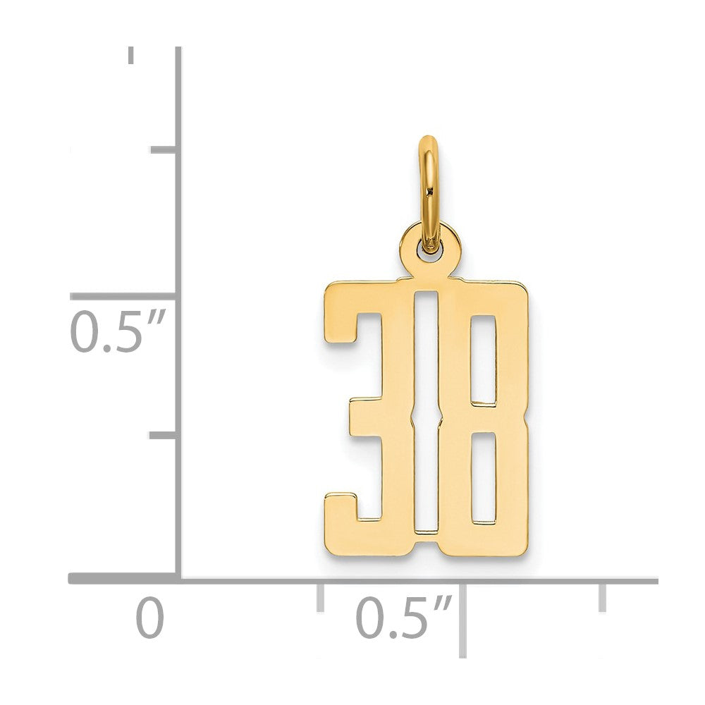 14K Yellow Gold Small Elongated Number 38 Charm