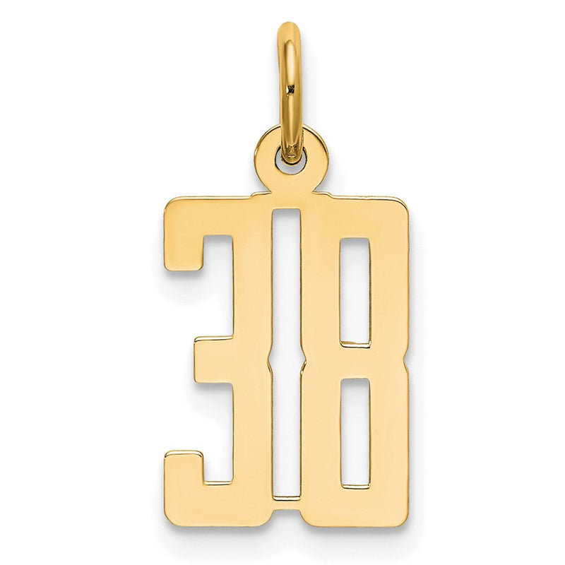 14K Yellow Gold Small Elongated Number 38 Charm
