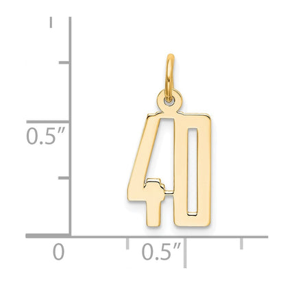 14K Yellow Gold Small Elongated Number 40 Charm