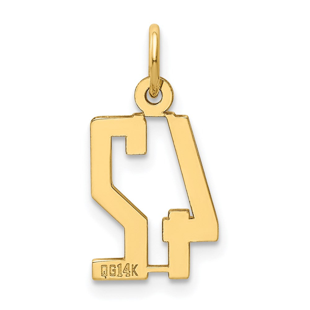 14K Yellow Gold Small Elongated Number 42 Charm
