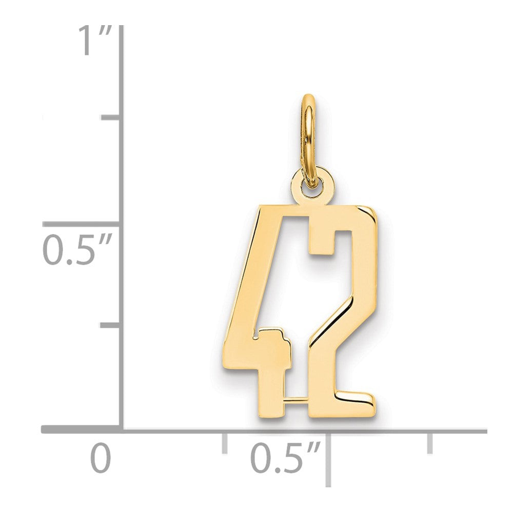 14K Yellow Gold Small Elongated Number 42 Charm