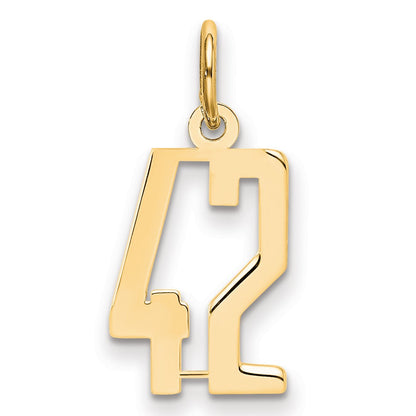 14K Yellow Gold Small Elongated Number 42 Charm