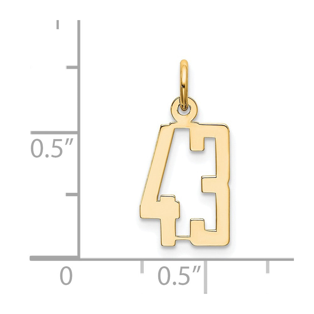 14K Yellow Gold Small Elongated Number 43 Charm