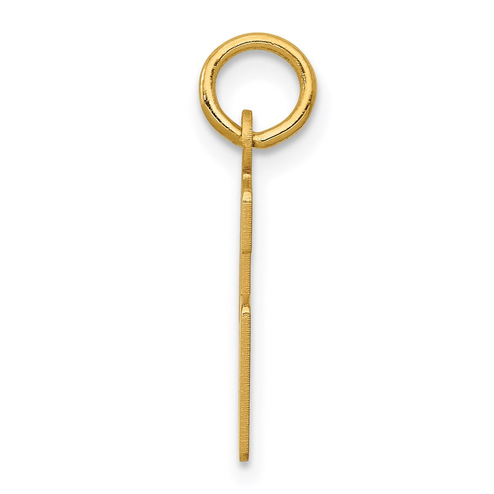 14K Yellow Gold Small Elongated Number 46 Charm