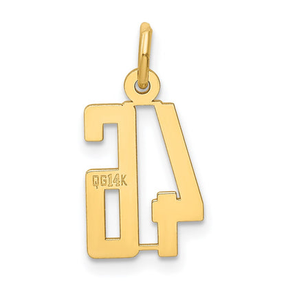 14K Yellow Gold Small Elongated Number 46 Charm
