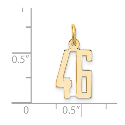 14K Yellow Gold Small Elongated Number 46 Charm