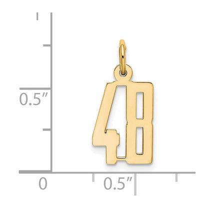 14K Yellow Gold Small Elongated Number 48 Charm