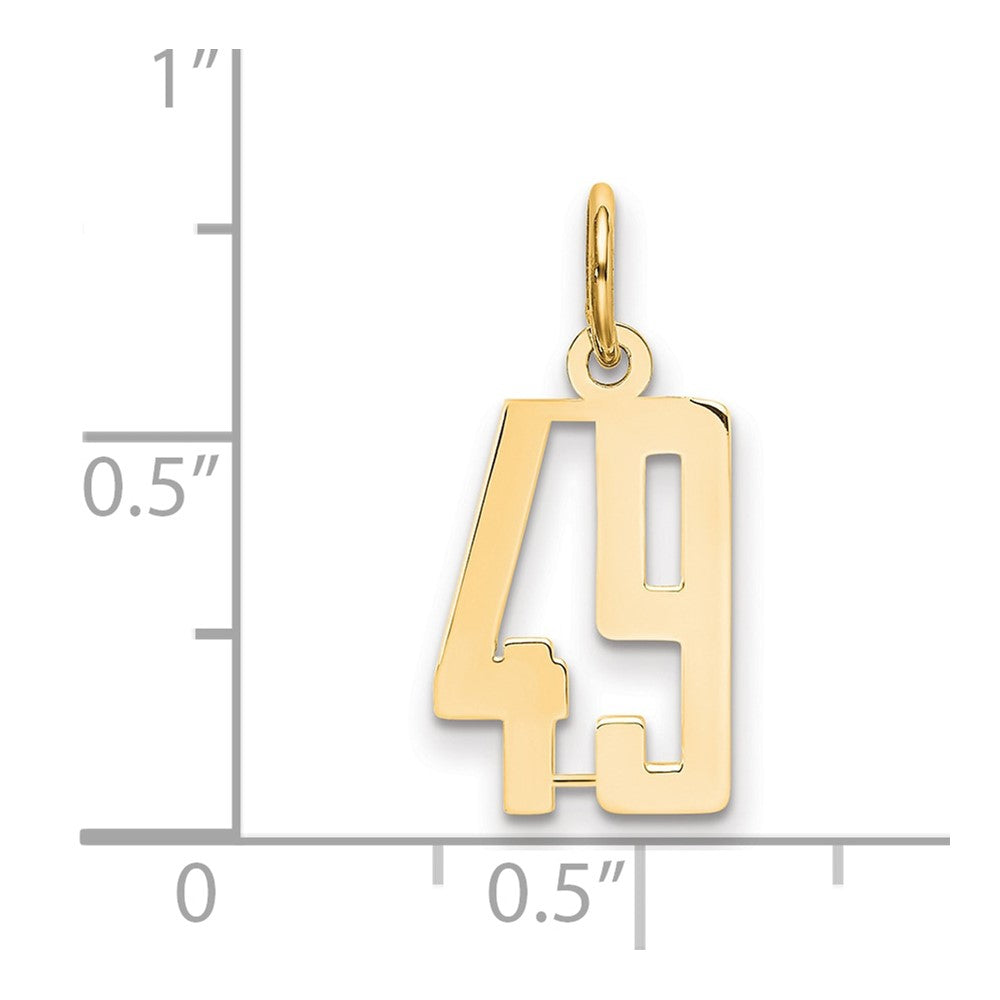 14K Yellow Gold Small Elongated Number 49 Charm