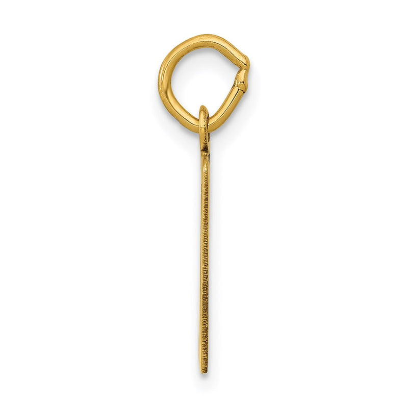 14K Yellow Gold Small Elongated Number 50 Charm
