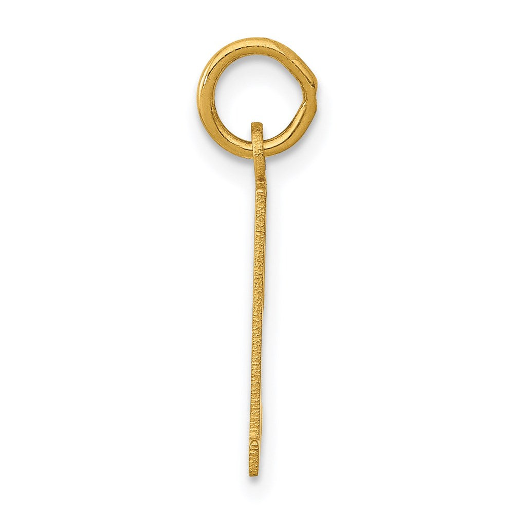 14K Yellow Gold Small Elongated Number 51 Charm