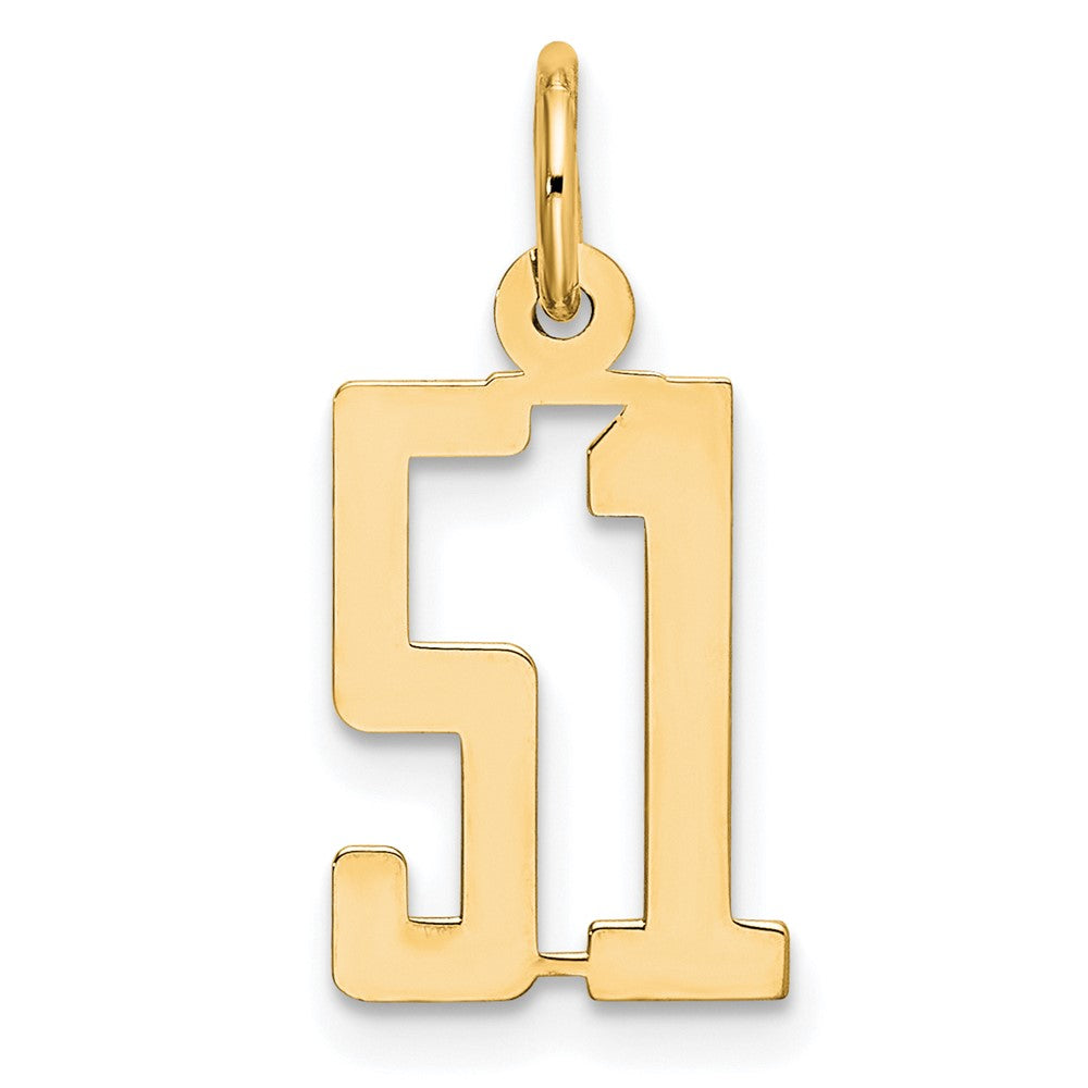 14K White Gold Small Elongated Number 51 Charm
