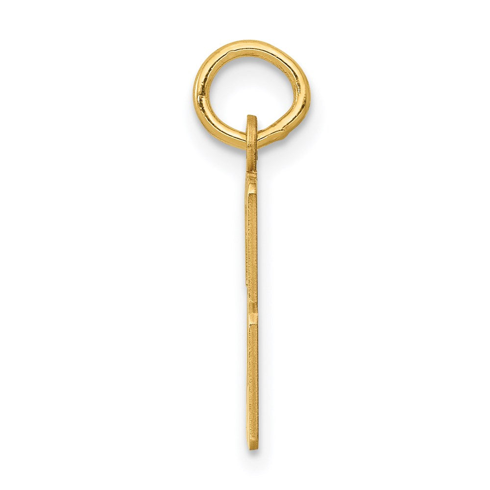 14K Yellow Gold Small Elongated Number 53 Charm
