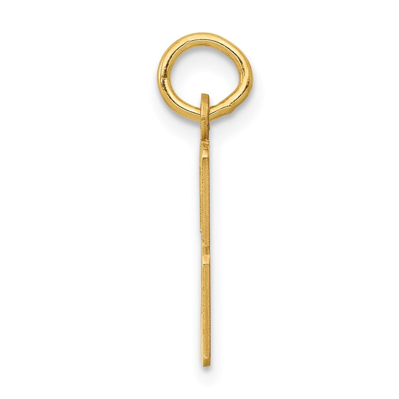 14K Yellow Gold Small Elongated Number 53 Charm