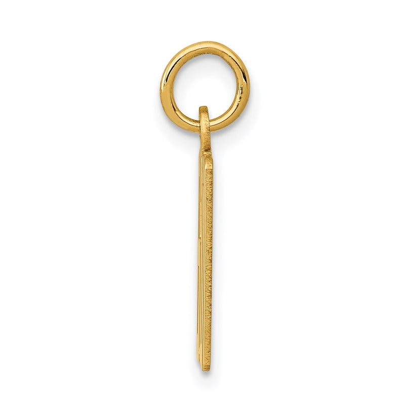 14K Yellow Gold Small Elongated Number 60 Charm