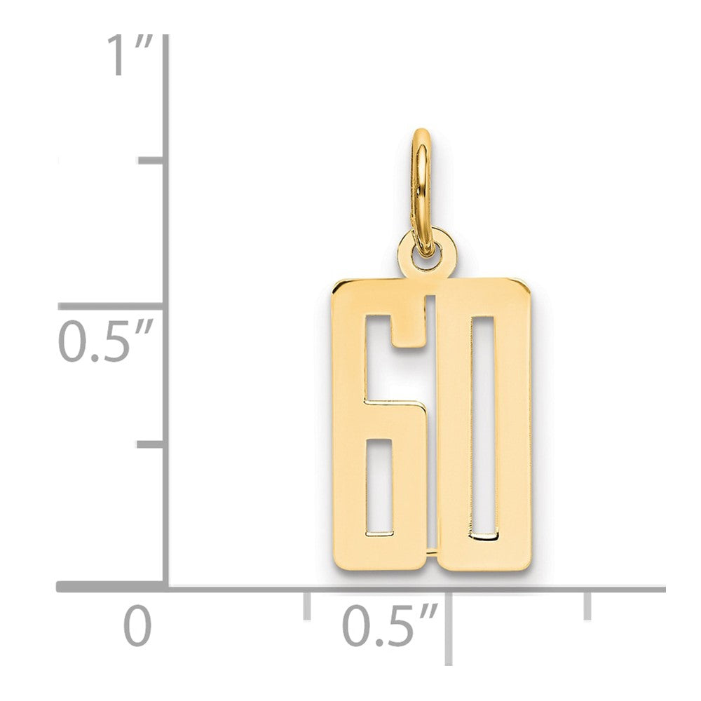 14K Yellow Gold Small Elongated Number 60 Charm