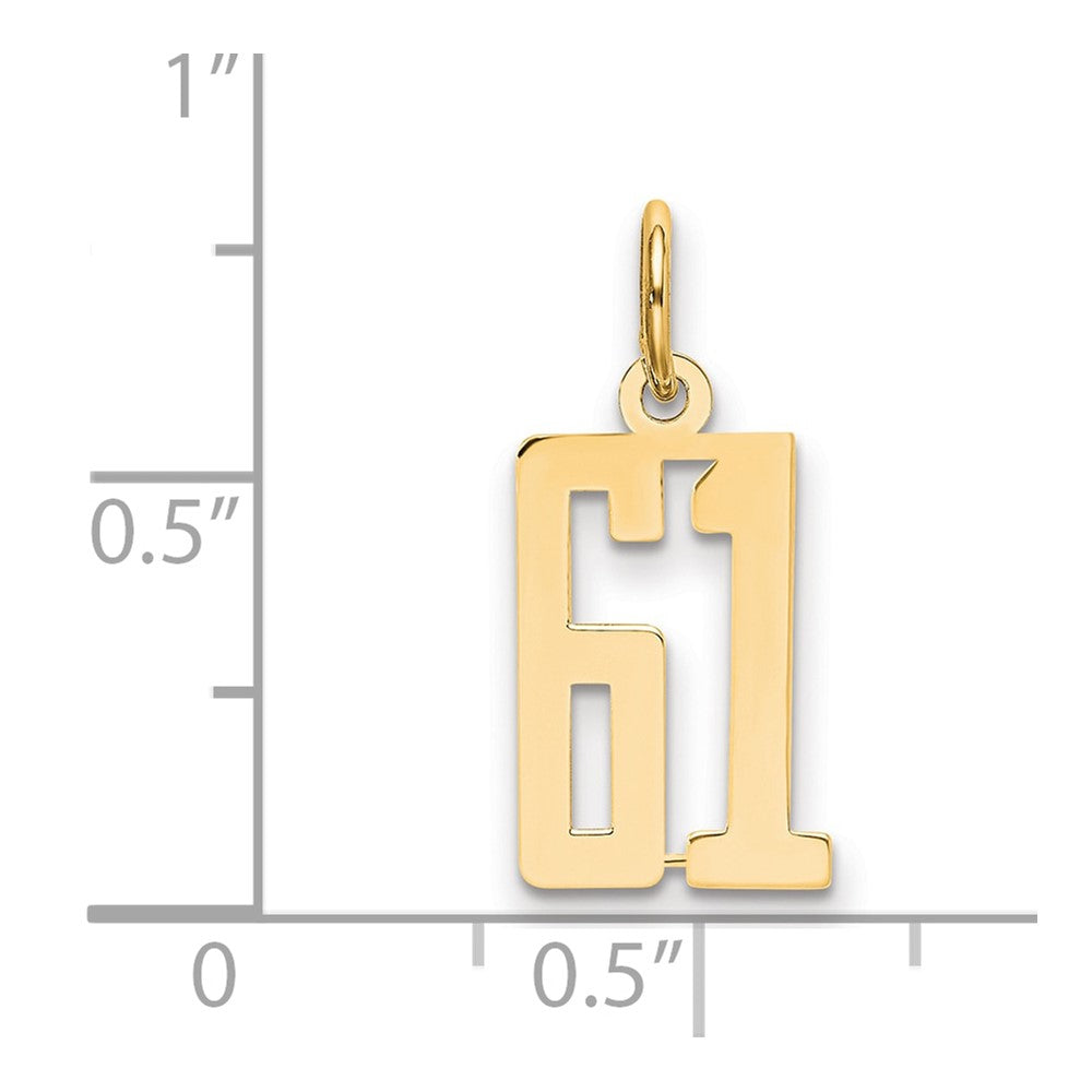 14K Yellow Gold Small Elongated Number 61 Charm