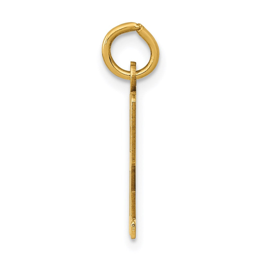 14K Yellow Gold Small Elongated Number 62 Charm