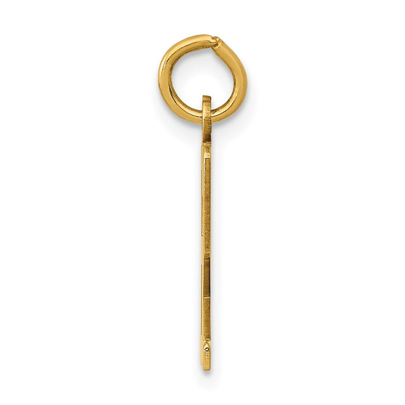 14K Yellow Gold Small Elongated Number 62 Charm