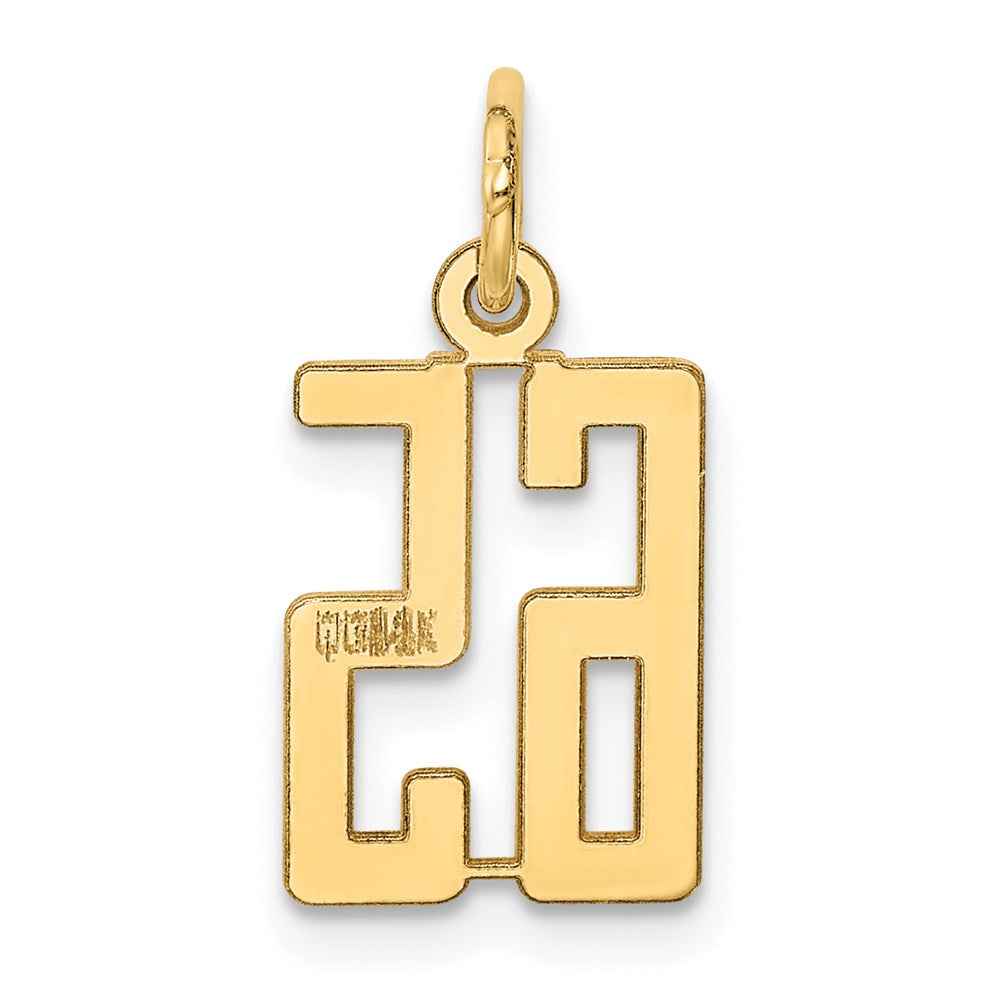 14K Yellow Gold Small Elongated Number 65 Charm