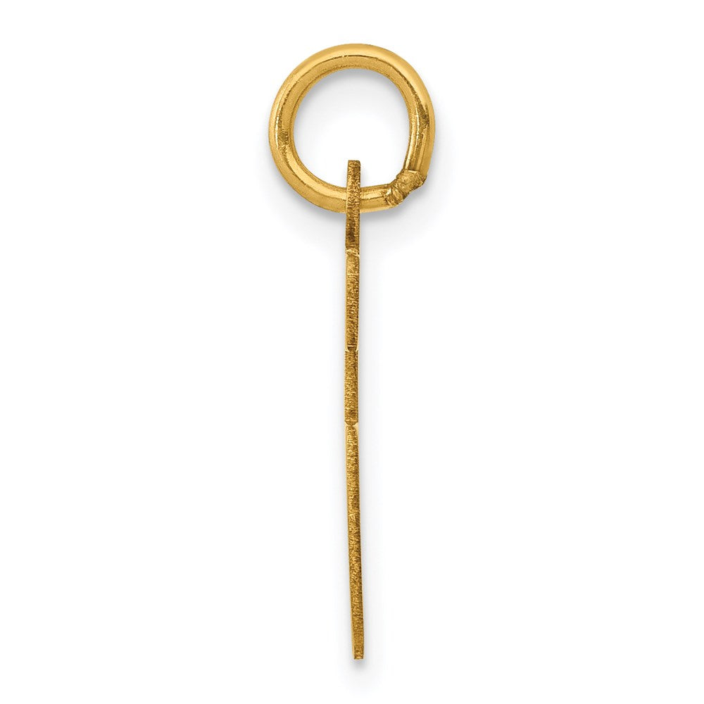 14K Yellow Gold Small Elongated Number 66 Charm