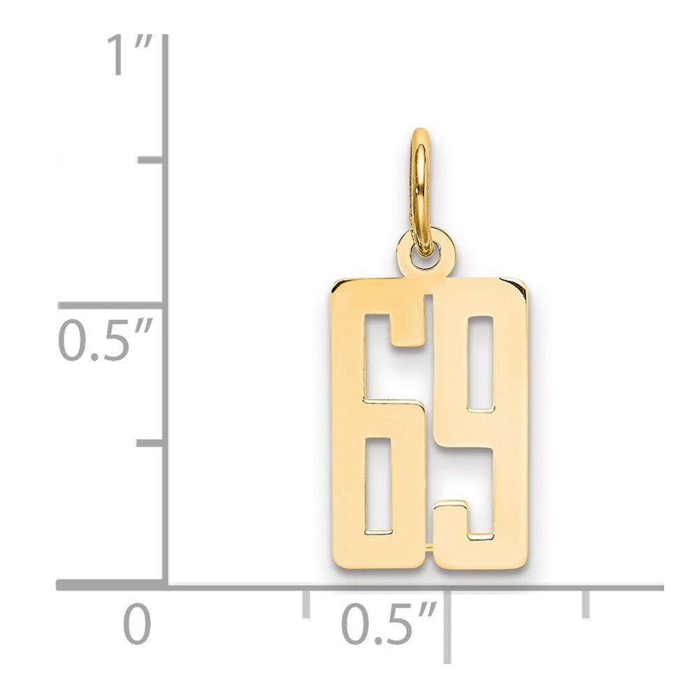 14K Yellow Gold Small Elongated Number 69 Charm